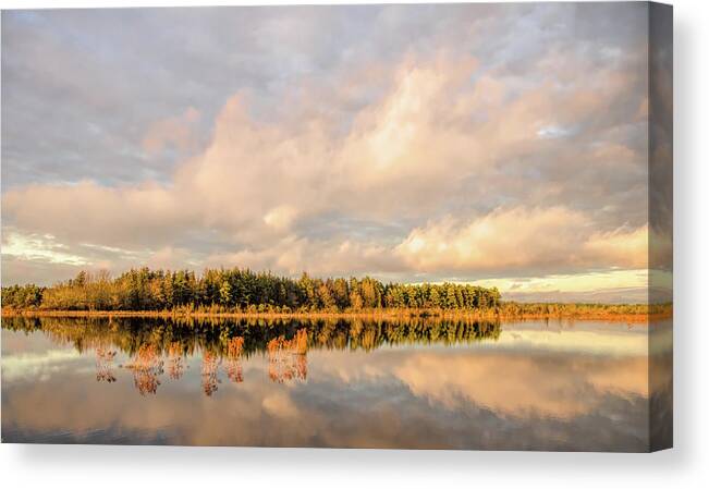 Reflection Canvas Print featuring the photograph Golden Hour Pine Glow by Beth Venner
