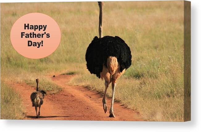Father's Day Canvas Print featuring the mixed media Happy Fathers Day Ostrich Family by Nancy Ayanna Wyatt