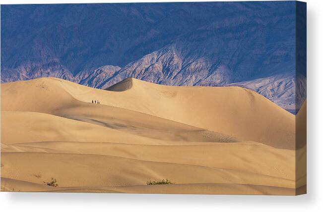 Nature Canvas Print featuring the photograph Hiking Mesquite Dunes by Mike Lee