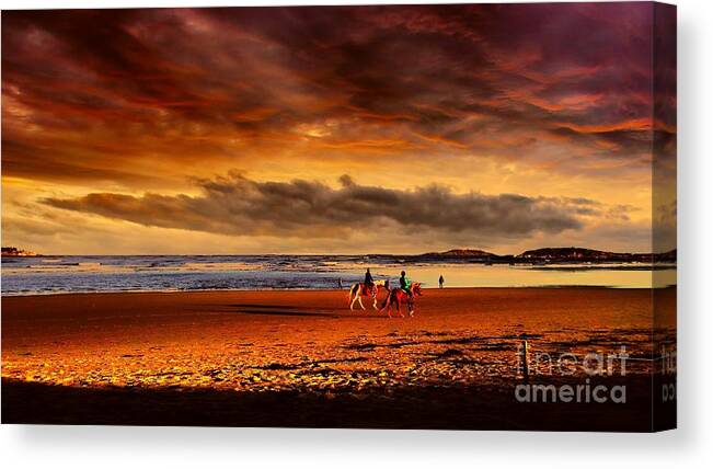 Horses Canvas Print featuring the photograph Horses on a Maine Beach by Eunice Miller