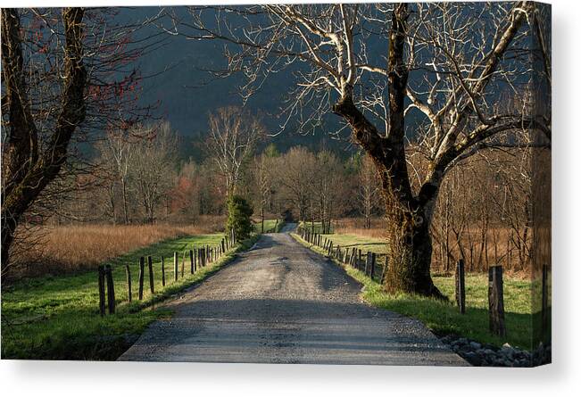  Canvas Print featuring the photograph Illumination in the Morning by Marcy Wielfaert