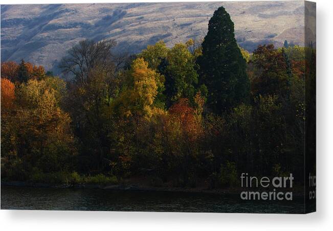 Art For The Wall...patzer Photography Canvas Print featuring the photograph Just Fall by Greg Patzer