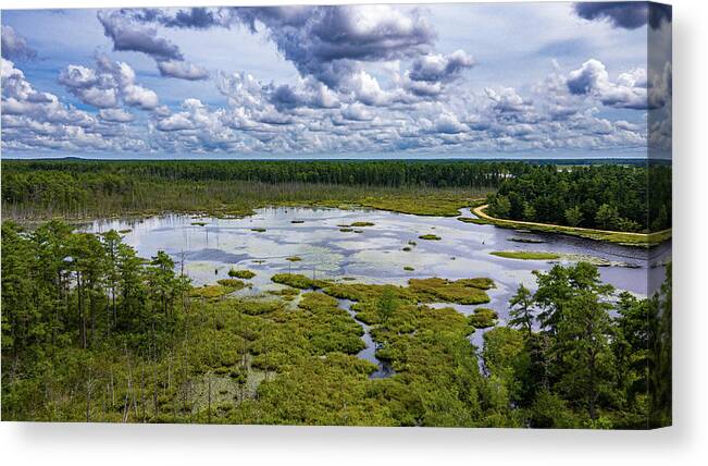 Fpp Canvas Print featuring the photograph Lake in the Pine Barrens by Louis Dallara