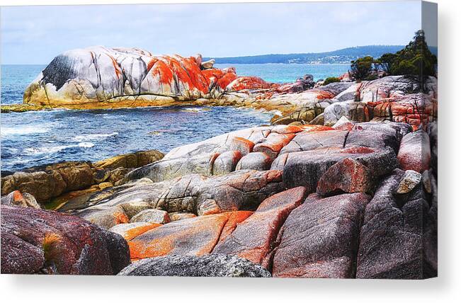 Tantalising Canvas Print featuring the photograph Lichen Covered Rocks by Lexa Harpell