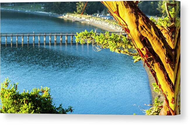 Landscape Canvas Print featuring the photograph Looking Back To Bowman Bay by Tony Locke