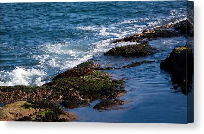 Ocean Canvas Print featuring the photograph Low Tide Lovely by Linda Bonaccorsi