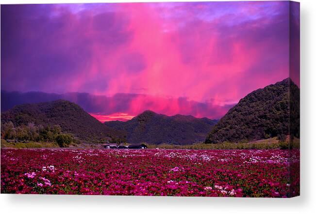 Magenta Canvas Print featuring the photograph Magenta Mountain Sunset by Ally White