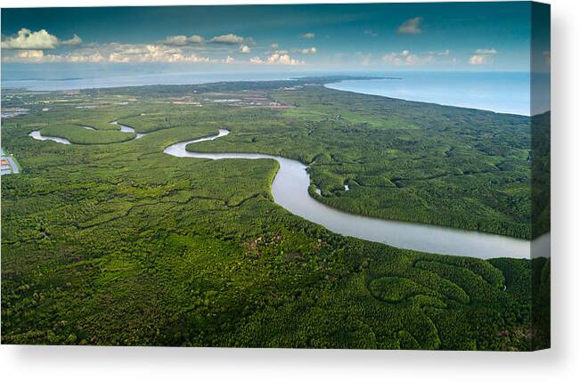 Scenics Canvas Print featuring the photograph Mangrove forest and river by Somnuk Krobkum