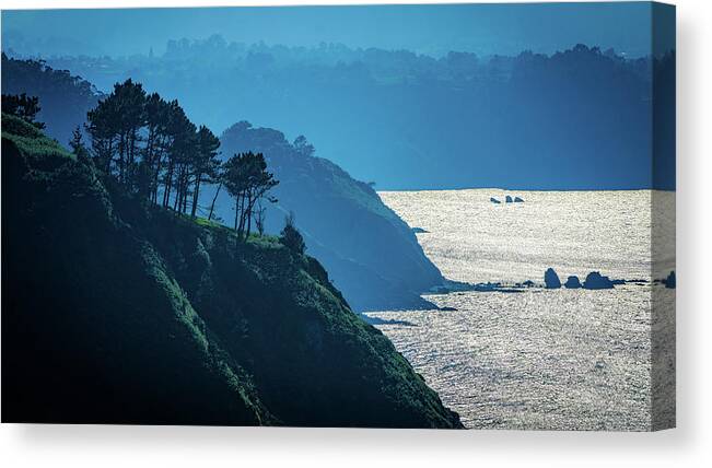 Light Canvas Print featuring the photograph Misty Clifftop Seascape by Chris Lord