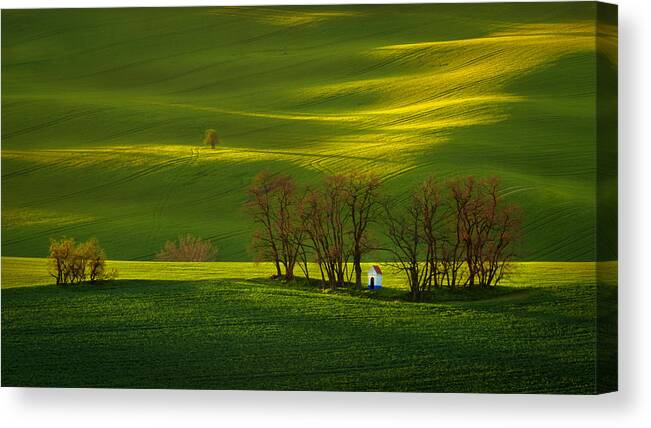 Fields Canvas Print featuring the photograph Moravian rolling fields by Piotr Skrzypiec