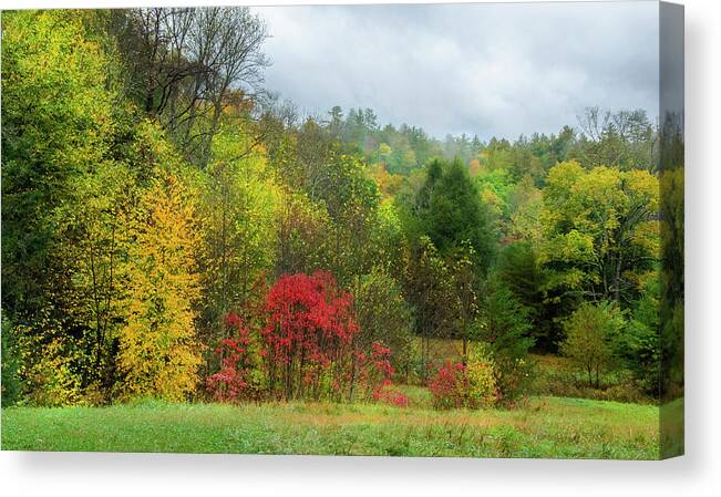 Morning Fall Canvas Print featuring the photograph Morning Fall by Karen Cox