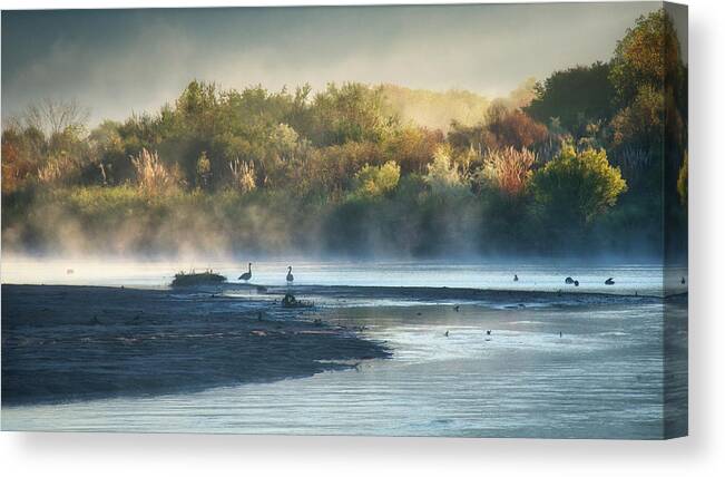 Scenic Landscape Photography Canvas Print featuring the photograph Morning Fog, Rio Grande Bosque by Zayne Diamond