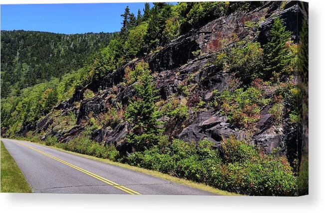 Landscape Canvas Print featuring the photograph Mountain Drive by Allen Nice-Webb