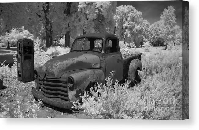 Botanical Gardens Canvas Print featuring the photograph Old Rusty Truck by Amy Curtis
