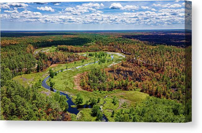 New Jersey Canvas Print featuring the photograph Pinelands Burned Forest by Louis Dallara