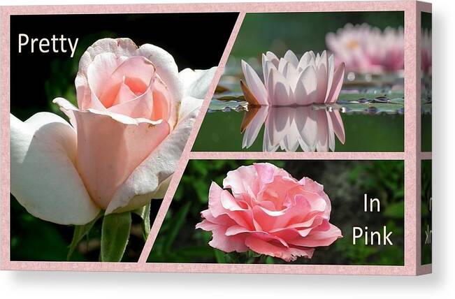 Roses Canvas Print featuring the photograph Pretty In Pink by Nancy Ayanna Wyatt