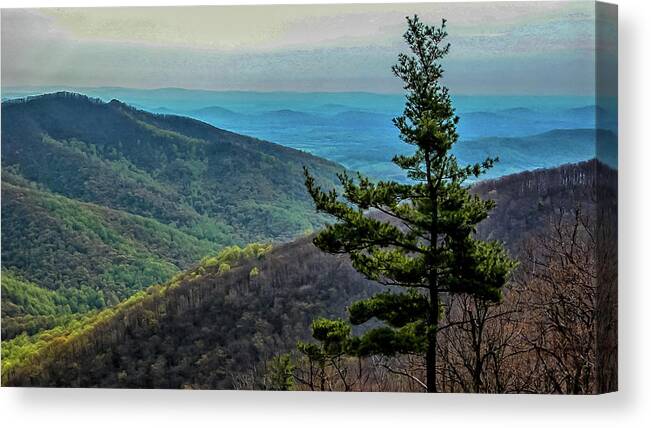 Fall Canvas Print featuring the photograph Ridge-and-Valley Appalachians by Louis Dallara