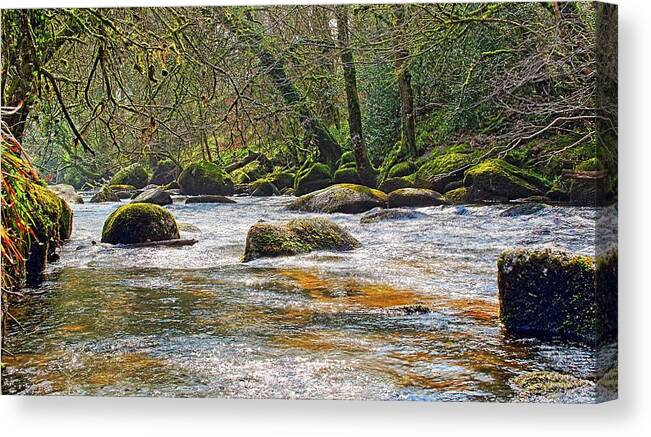 River Dart Canvas Print featuring the photograph River Dart in winter by Tony Mills