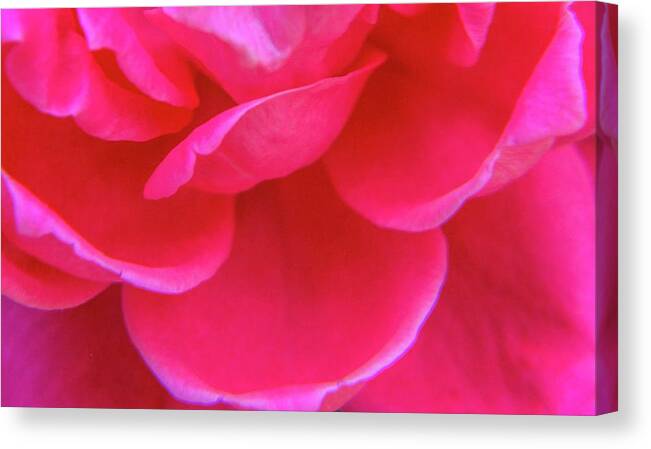 Red Canvas Print featuring the photograph Rose Petals by Addison Likins