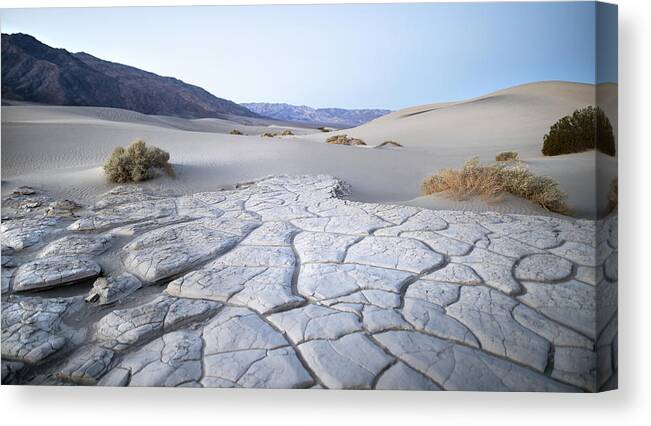 Death Valley National Park Canvas Print featuring the photograph Silent Beauty by JoAnn Silva