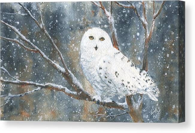 Wildlife Canvas Print featuring the painting Snow Owl - Canada by June Hunt