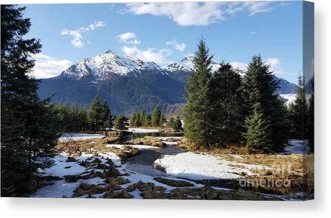 #alaska #juneau #ak #cruise #tours #vacation #peaceful #mendenhallglacier #glacier #capitalcity #snow #cold #clouds #postcard #mtmcginnis #dredgelakes #spring Canvas Print featuring the photograph Spring at Mt. McGinnis by Charles Vice