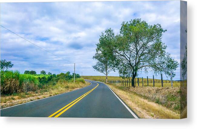 Agricultural Activity Canvas Print featuring the photograph Sugarcane plantations are crossed by roads and highways in the rural area of Piracicaba. by CRMacedonio