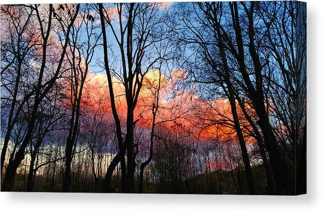 Nature Canvas Print featuring the photograph Sunset Through the Woods by Ally White