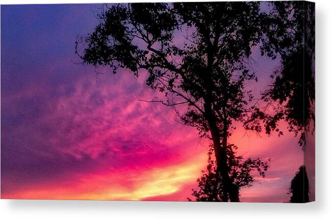 Sunset  Canvas Print featuring the photograph Sunset with a tree by Kelsea Peet