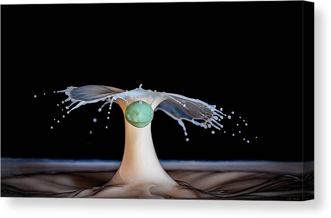 Water Drop Collisions Canvas Print featuring the photograph The Drop by Michael McKenney