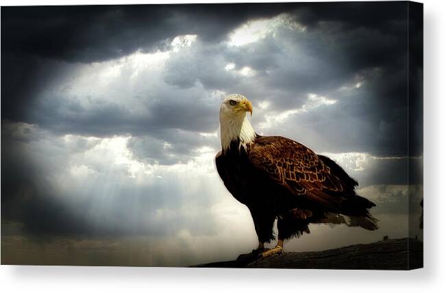Eagle Canvas Print featuring the photograph The Lookout by G Lamar Yancy
