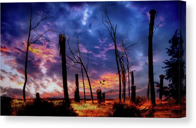 Sky Canvas Print featuring the photograph The Remains of the Day by Micah Offman