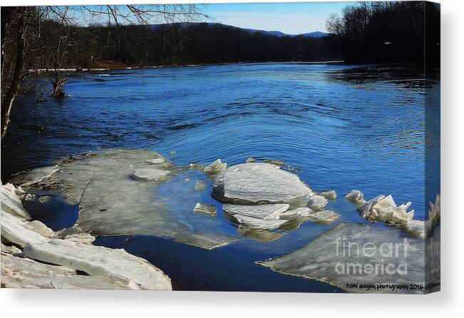 Winter Canvas Print featuring the photograph The Vanishing Winter by Tami Quigley