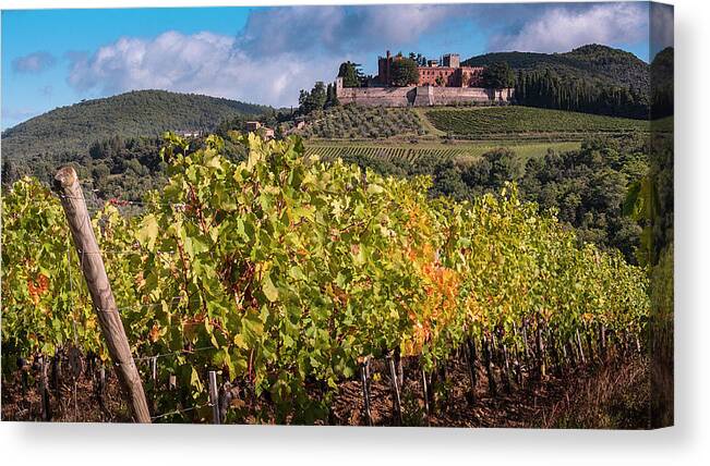 Winery Canvas Print featuring the photograph Tuscany Winery by Louise Tanguay