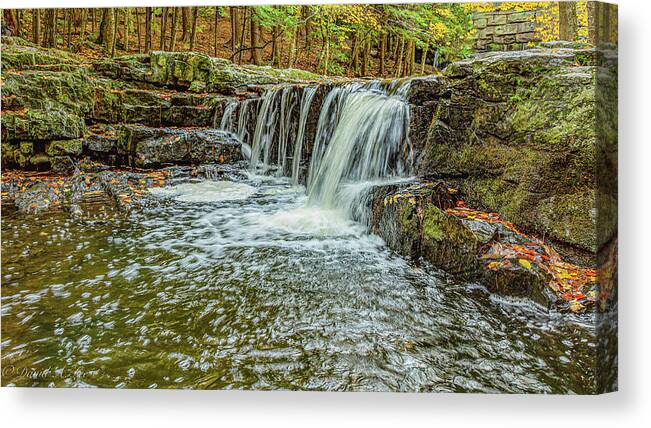 Landscape Canvas Print featuring the photograph Vaughan Brook by David Lee