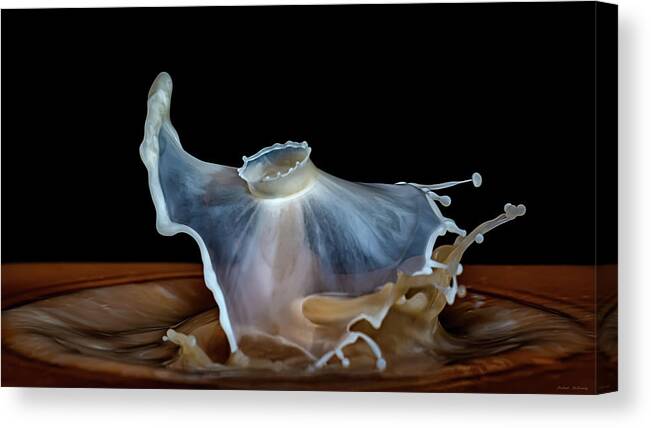 Art Canvas Print featuring the photograph Whirling Dervish by Michael McKenney