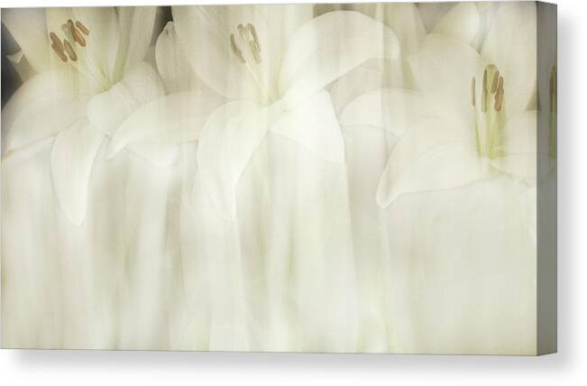 Lilies Canvas Print featuring the photograph White Lilies Abstract by Cheryl Day