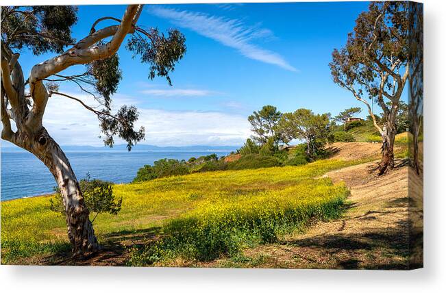 Yellow Canvas Print featuring the photograph Yellow on the Bluffs by Mike-Hope