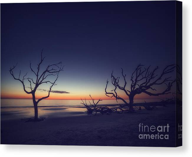 Driftwood Canvas Print featuring the photograph Driftwood Beach 2 by Tim Wemple