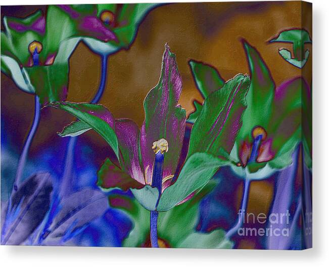 Flower Canvas Print featuring the photograph Fl3714 by Leo Symon