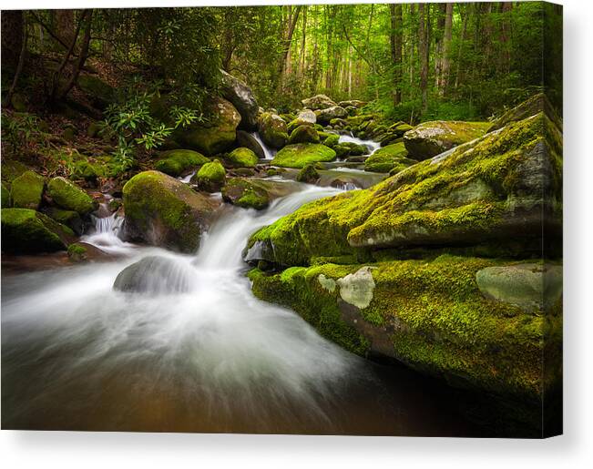 Great Smoky Mountains National Park Canvas Print featuring the photograph Great Smoky Mountains Gatlinburg TN Roaring Fork - Gift of Life by Dave Allen