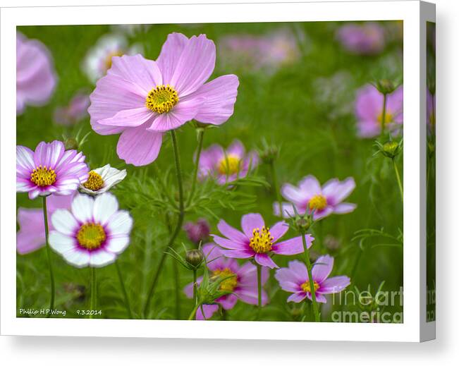 Green Canvas Print featuring the mixed media Pink Flower by Philip HP Wong