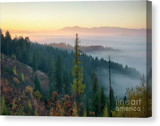 4th Of July Pass Canvas Print featuring the photograph Morning Glow #2 by Idaho Scenic Images Linda Lantzy