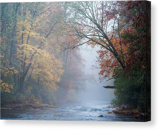 Outdoors Canvas Print featuring the photograph Appalachian Mountains SC Chattooga Autumn Fog by Robert Stephens