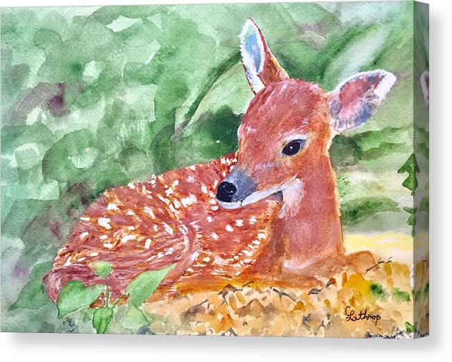 Fawn Canvas Print featuring the painting Fawn 2 by Christine Lathrop