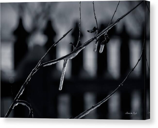 Weather Moods Canvas Print featuring the photograph Icy Twig by Karen Slagle