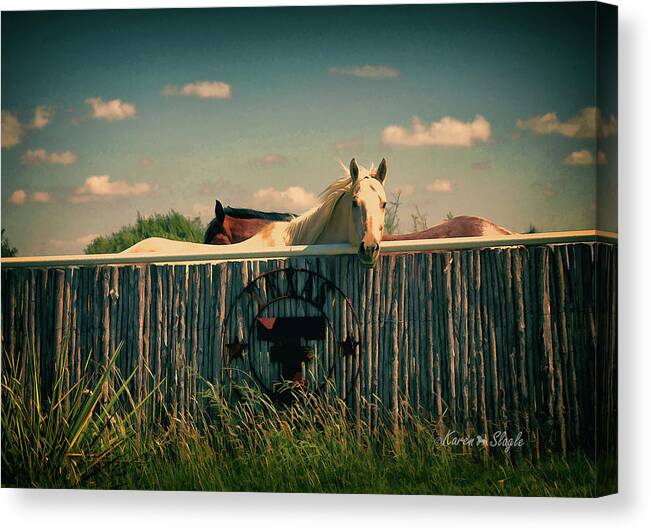 Horses Canvas Print featuring the photograph T for Texas by Karen Slagle
