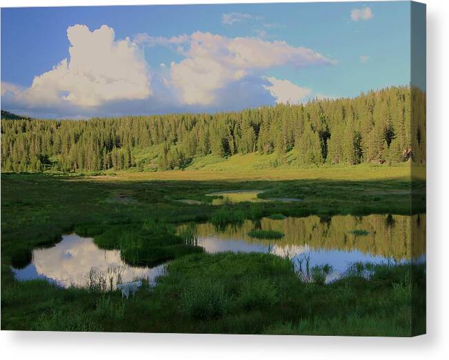 Incline Lake Canvas Print featuring the photograph What's Left Of A Lake by Sean Sarsfield