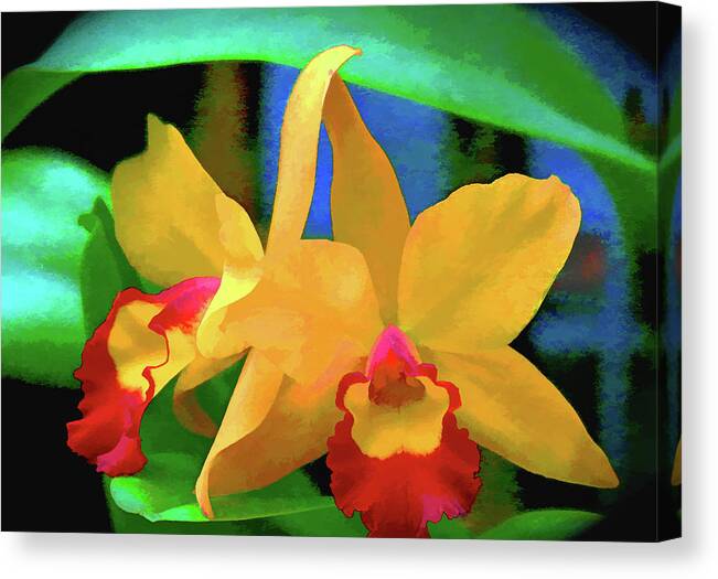 Bright Canvas Print featuring the photograph Yellow Orchid by Rochelle Berman