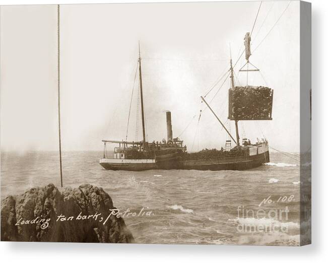 Unidentified Canvas Print featuring the photograph Unidentified S. S. ship loading Tan bark, from Mattole Valley, Petrolia by Monterey County Historical Society